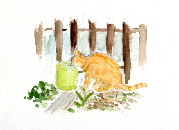 Water color painting of cat drinking out of bucket in garden